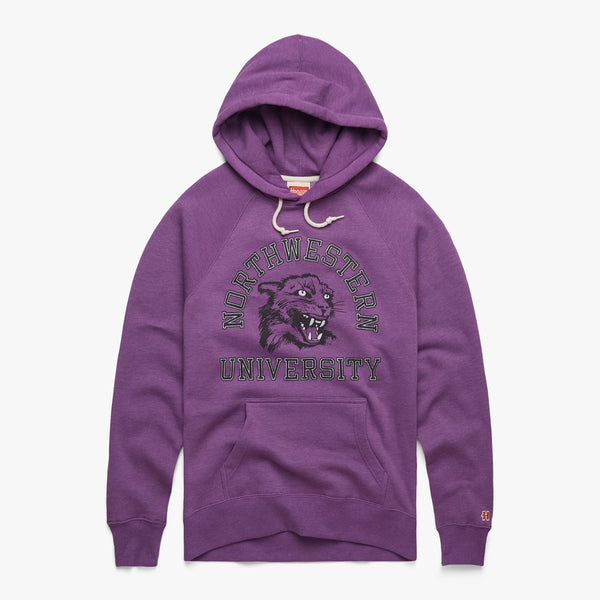 Northwestern shop university hoodies